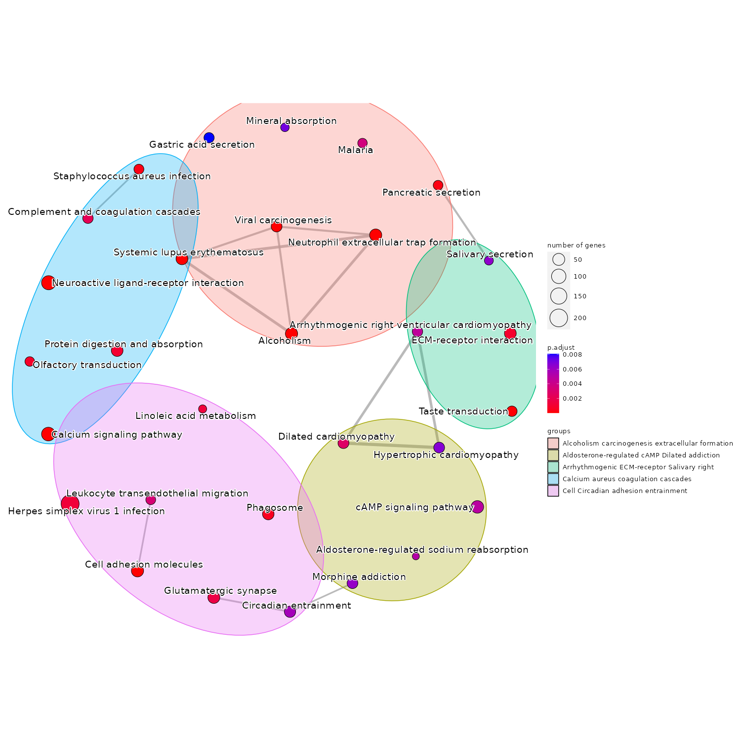 RNA-seq bioinformatics workflow report